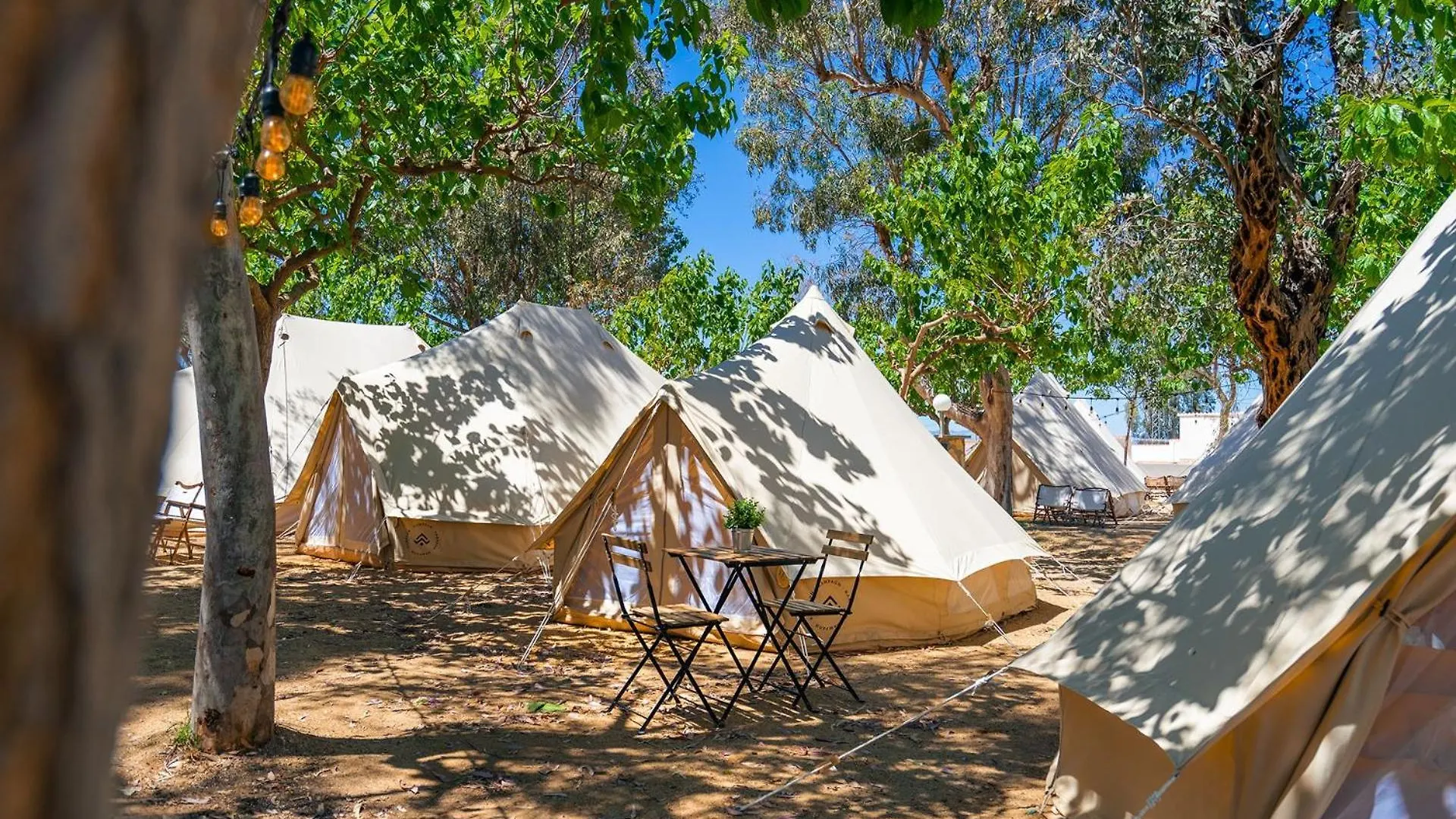 Luxury tent Kampaoh Delta Del Ebro Hotel El Poblenou del Delta Spain